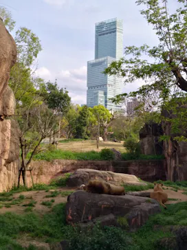 天王寺動物園に投稿された画像（2021/4/10）