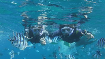 MalDive（モルダイブ）に投稿された画像（2021/4/10）