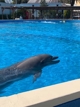 南知多ビーチランド＆南知多おもちゃ王国に投稿された画像（2021/4/10）