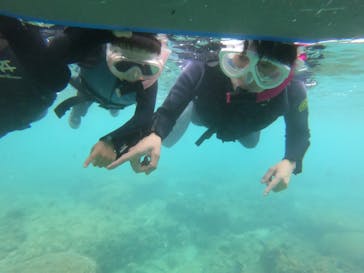 MalDive（モルダイブ）に投稿された画像（2021/4/10）