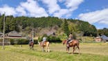 TANIMOTO HORSE RANCH（タニモトホースランチ）に投稿された画像（2021/4/10）