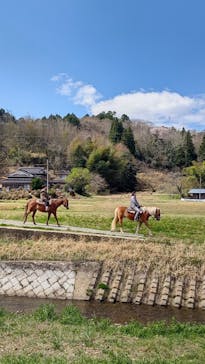 TANIMOTO HORSE RANCH（タニモトホースランチ）に投稿された画像（2021/4/10）