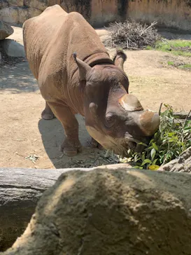 天王寺動物園に投稿された画像（2021/4/10）