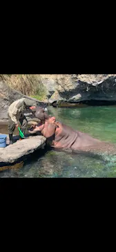 天王寺動物園に投稿された画像（2021/4/10）