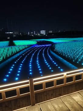 東京メガイルミに投稿された画像（2021/4/10）