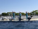 京都水族館に投稿された画像（2021/4/10）