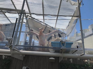 サンシャイン水族館に投稿された画像（2021/4/10）