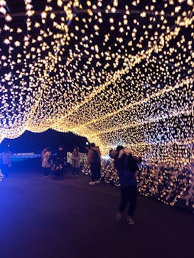 東京メガイルミに投稿された画像（2021/4/10）