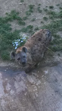 天王寺動物園に投稿された画像（2021/4/10）