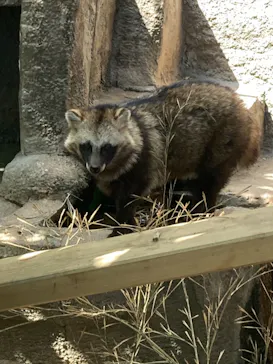 天王寺動物園に投稿された画像（2021/4/10）