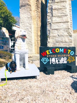 ストーンミュージアム博石館に投稿された画像（2021/4/10）