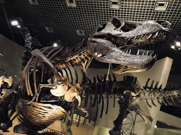 国立科学博物館に投稿された画像（2021/4/10）