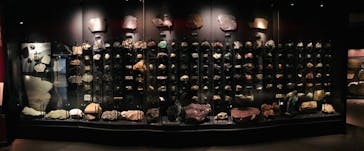 国立科学博物館に投稿された画像（2021/4/10）