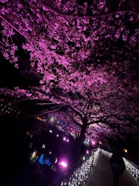 那須高原りんどう湖ファミリー牧場に投稿された画像（2021/4/10）