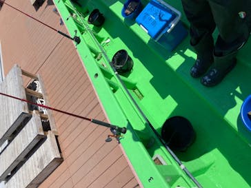 釣り船 進丸に投稿された画像（2021/4/10）