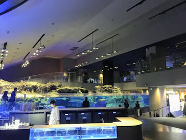 すみだ水族館に投稿された画像（2021/4/10）