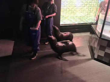 すみだ水族館に投稿された画像（2021/4/10）