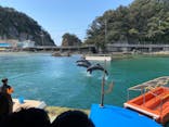 下田海中水族館に投稿された画像（2021/4/11）