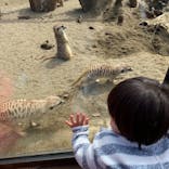 よこはま動物園ズーラシアに投稿された画像（2021/4/11）