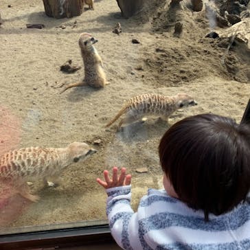 よこはま動物園ズーラシアに投稿された画像（2021/4/10）