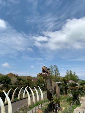 伊豆ぐらんぱる公園に投稿された画像（2021/4/11）