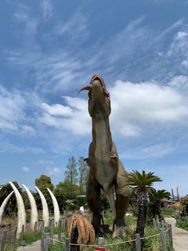 伊豆ぐらんぱる公園に投稿された画像（2021/4/11）