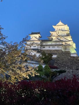 姫路城（イベント）に投稿された画像（2021/4/11）