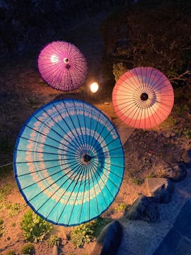 姫路城（イベント）に投稿された画像（2021/4/11）