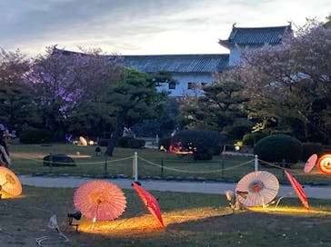 姫路城（イベント）に投稿された画像（2021/4/11）