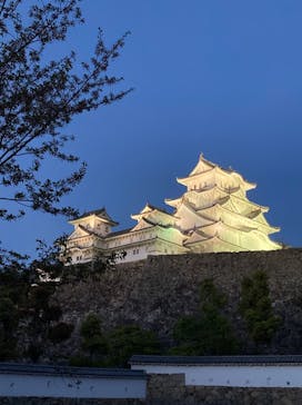 姫路城（イベント）に投稿された画像（2021/4/11）