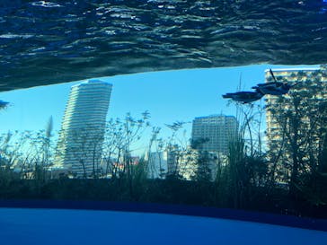 サンシャイン水族館に投稿された画像（2021/4/11）