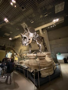 国立科学博物館に投稿された画像（2021/4/11）