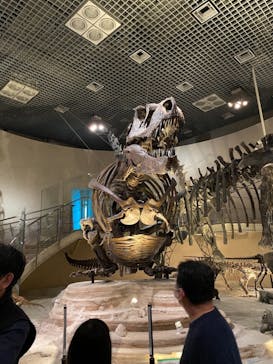 国立科学博物館に投稿された画像（2021/4/11）