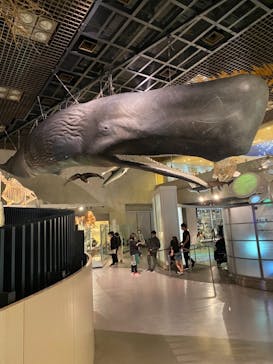 国立科学博物館に投稿された画像（2021/4/11）