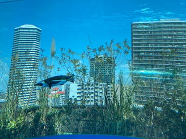 サンシャイン水族館に投稿された画像（2021/4/11）