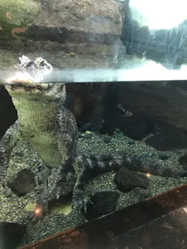 天王寺動物園に投稿された画像（2021/4/11）