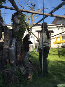 天王寺動物園に投稿された画像（2021/4/11）