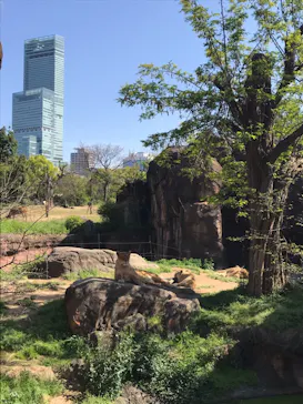 天王寺動物園に投稿された画像（2021/4/11）