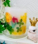 ずこうしつ〜sugamo〜に投稿された画像（2021/4/11）