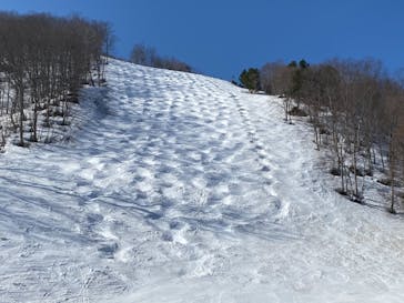 Hakuba47ウィンタースポーツパークに投稿された画像（2021/4/11）
