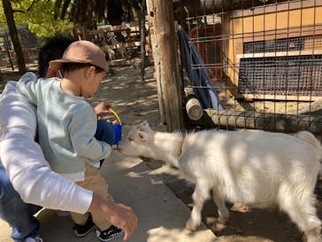 しろとり動物園に投稿された画像（2021/4/11）