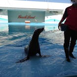 南知多ビーチランド＆南知多おもちゃ王国に投稿された画像（2021/4/11）