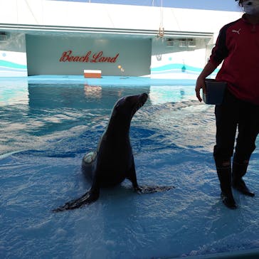 南知多ビーチランド＆南知多おもちゃ王国に投稿された画像（2021/4/11）