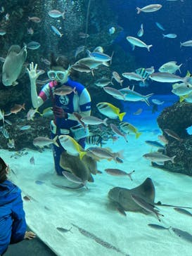 サンシャイン水族館に投稿された画像（2021/4/11）