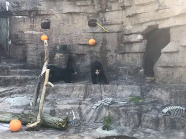天王寺動物園に投稿された画像（2021/4/11）