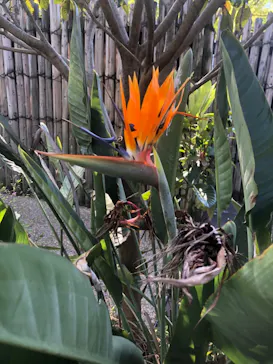 天王寺動物園に投稿された画像（2021/4/11）