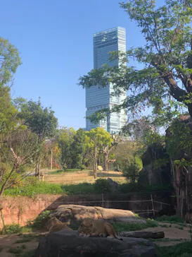 天王寺動物園に投稿された画像（2021/4/11）