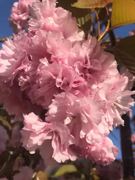 天王寺動物園に投稿された画像（2021/4/11）