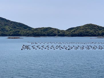 九十九島遊覧船に投稿された画像（2021/4/11）