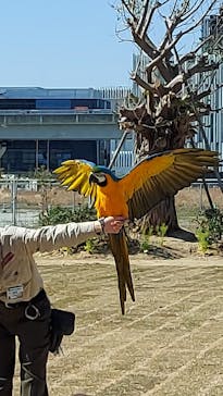 神戸どうぶつ王国に投稿された画像（2021/4/11）